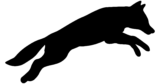 glassfoxgroup.com